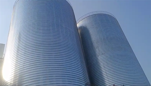 巴楚2座混凝土高架卷板仓